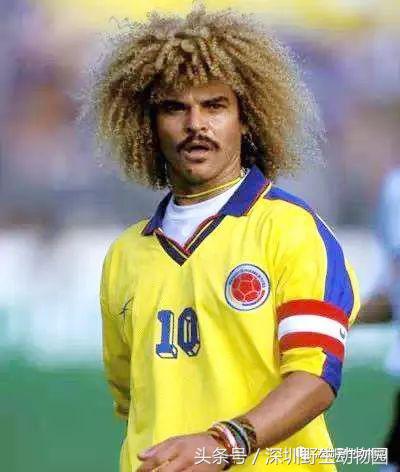 足球球员动物化,足球界马儿