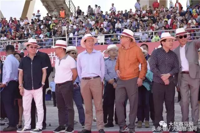 内蒙古伊泰大漠马业在哪里,内蒙古伊泰大漠马业