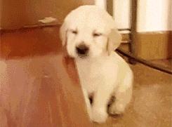 夏天午睡越睡越困醒不过来怎么办,夏季午睡起来健康养生