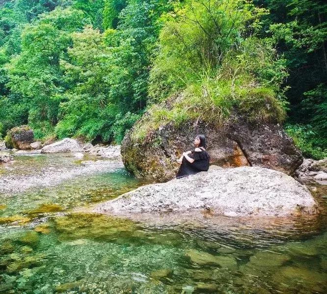成都周边小众森林秘境,成都周边有山有水还免费的地方