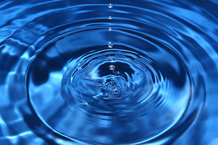 离开家很久家里植物怎么办,离开好久养的绿植怎么处理