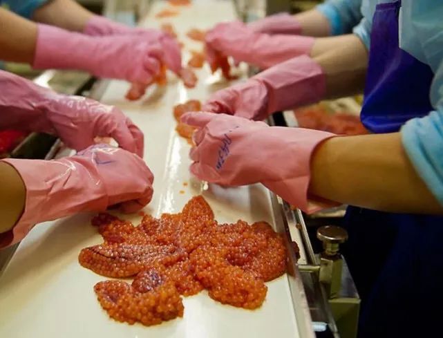 一勺中国的鱼子酱价值多少钱,顶级鱼子酱一口就要上千块