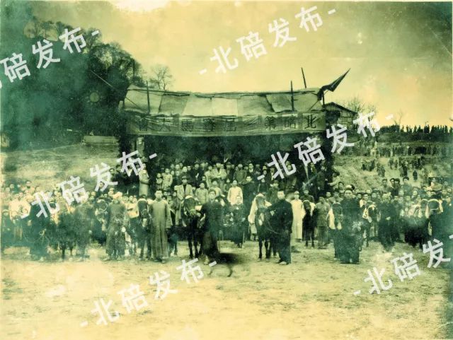 桐荫茶话,桐荫茶话所有视频