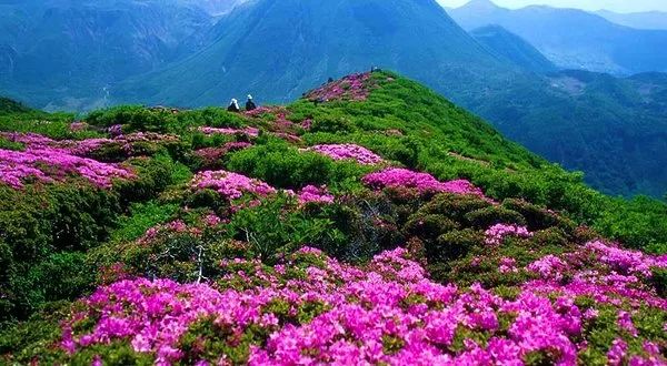 听说，这8类人最适合来五莲！是你吗？