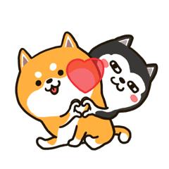 权威发布教师证还用考吗,新疆考试合格后多久拿到导游证