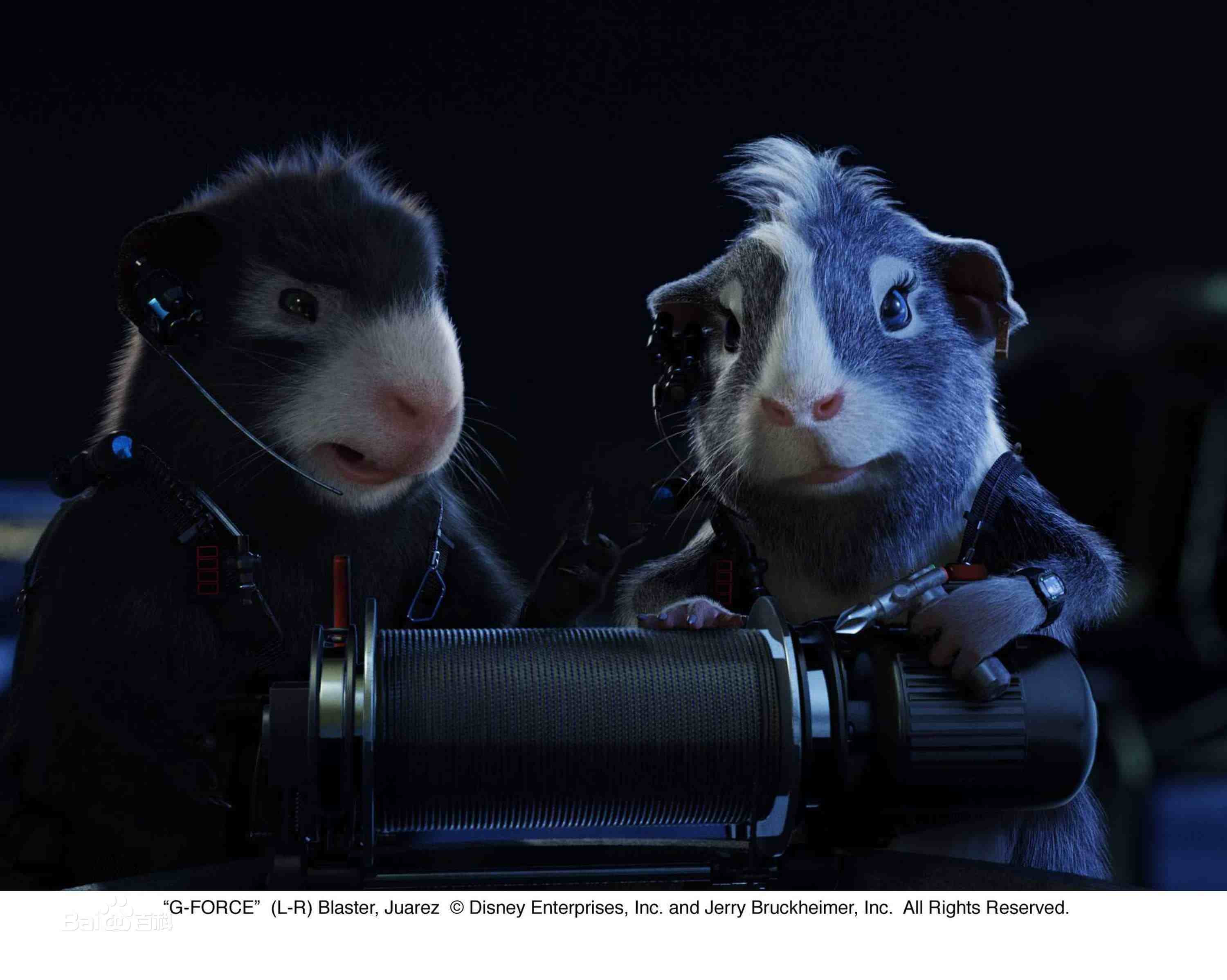 属鼠人和什么属相最合财运,属鼠人今年运气和婚姻