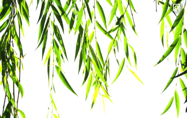 悬壶济世救苍生全集,悬壶济世救苍生完整版