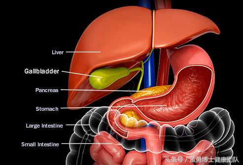 有胆囊炎和胆结石不能吃哪些东西,胆结石引发的胆囊炎饮食注意事项