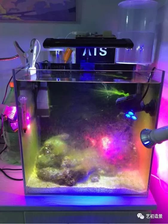 海缸方缸最合适的尺寸,超大海缸开缸教程新手入门