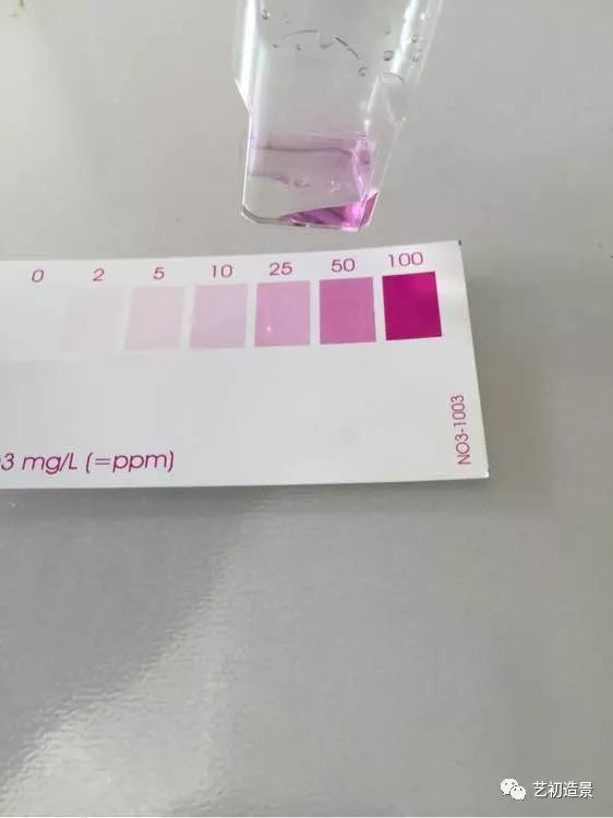 海缸方缸最合适的尺寸,超大海缸开缸教程新手入门