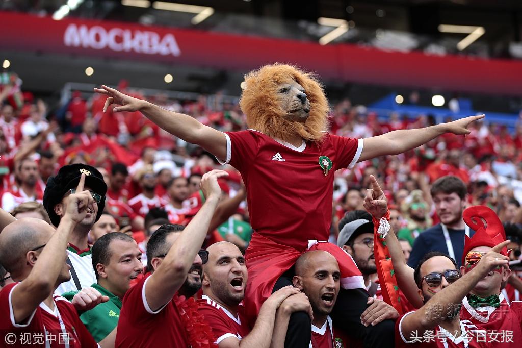 头顶“球场”化“猫”妆，“变相怪杰”满场飞，世界杯球迷谁最强