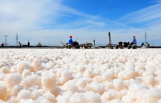 脸部螨虫怎么消灭才能彻底除根,脸上螨虫反复发作