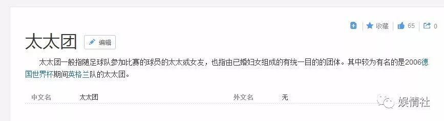 酗酒斗殴被讽母鸡，一小时花8万欧，世界杯史上最牛太太团