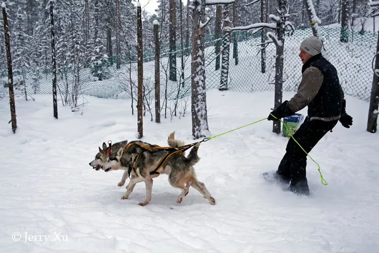 俄罗斯战斗民族冬天的日常,俄罗斯战斗民族视频日常