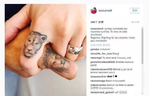 世界杯德国最美太太团,世界杯四强最美太太