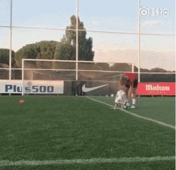 世界杯德国最美太太团,世界杯四强最美太太