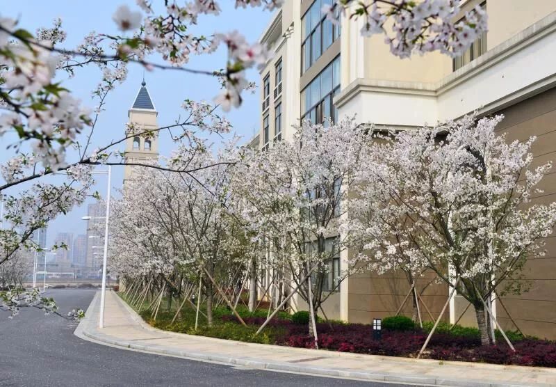 6个理由,浙江越秀外国语学院真实评价