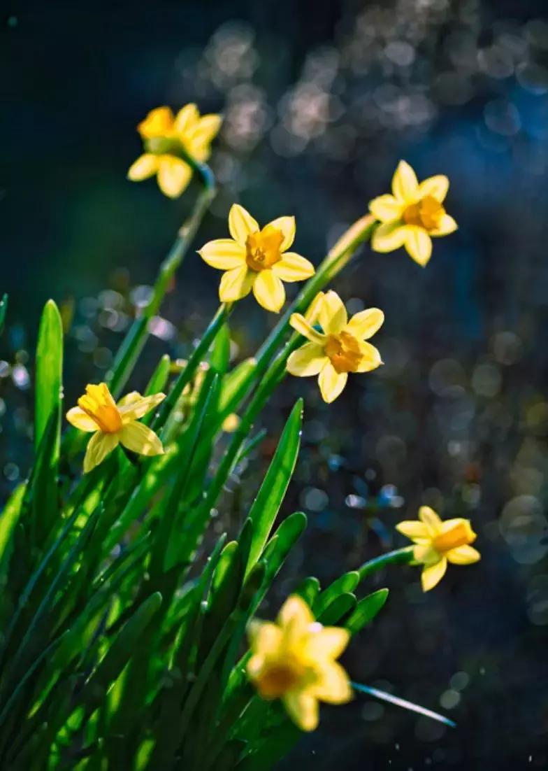 做个花心的女人视频,做个花心的女人歌曲