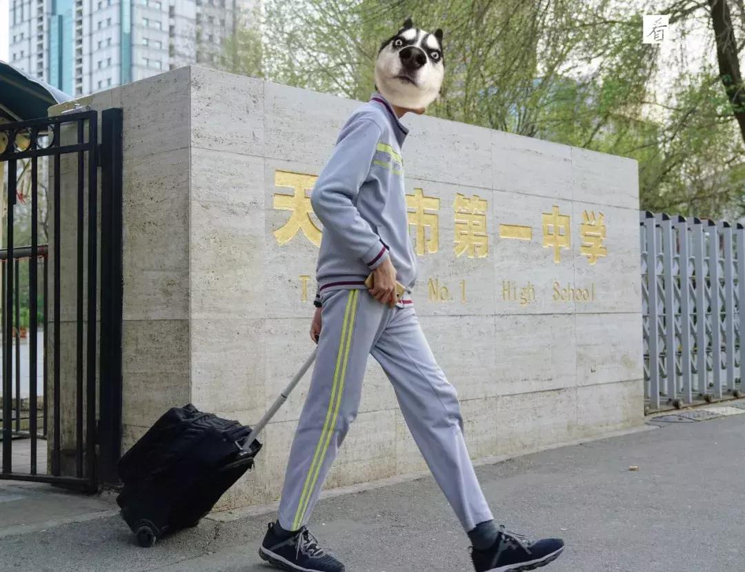 天津各学区的校服,天津市各个学校校服