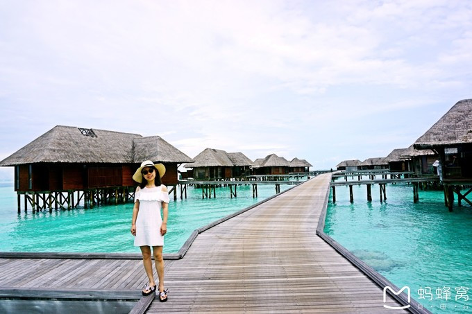 马尔代夫蝴蝶岛,马尔代夫港丽岛属于几星岛