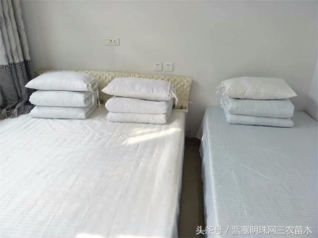 梨木台古树农家院,蓟县梨木台兴业缘农家院