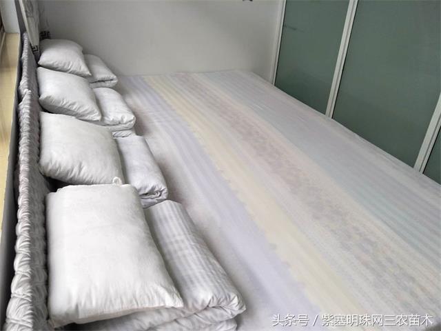 梨木台古树农家院,蓟县梨木台兴业缘农家院