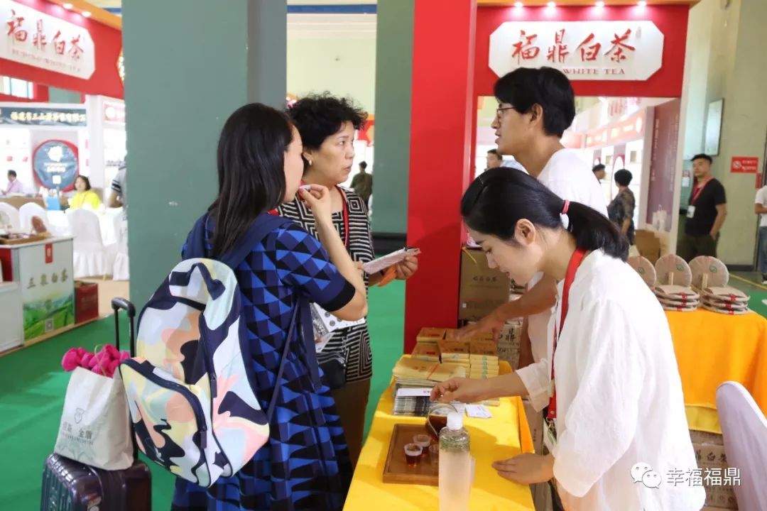 福鼎白茶进京“赶考”，好评如潮，香飘“一带一路”
