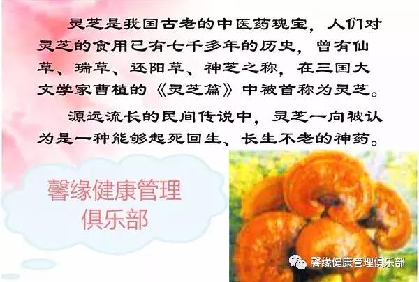 为什么灵芝能起死回生,灵芝对人体哪些系统有效