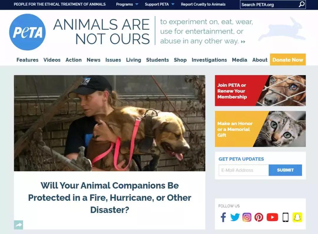 海外“零残忍”美妆入华记