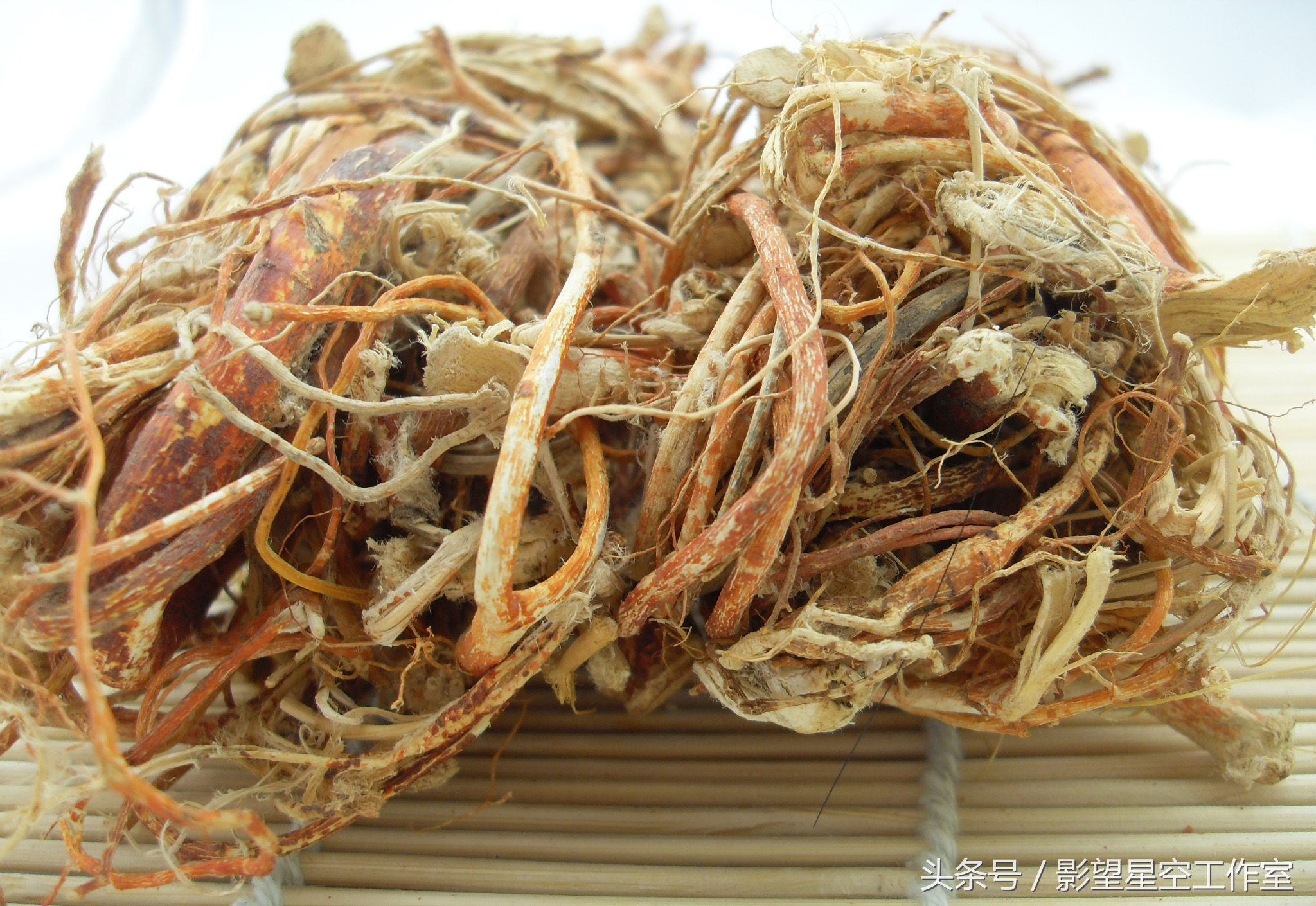 奶香味十足的牛奶,奶香味十足的牛奶有哪些