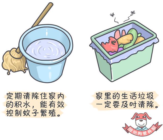 鍚歌铓婂瓙婕敾,鍏充簬铓婂瓙婕敾