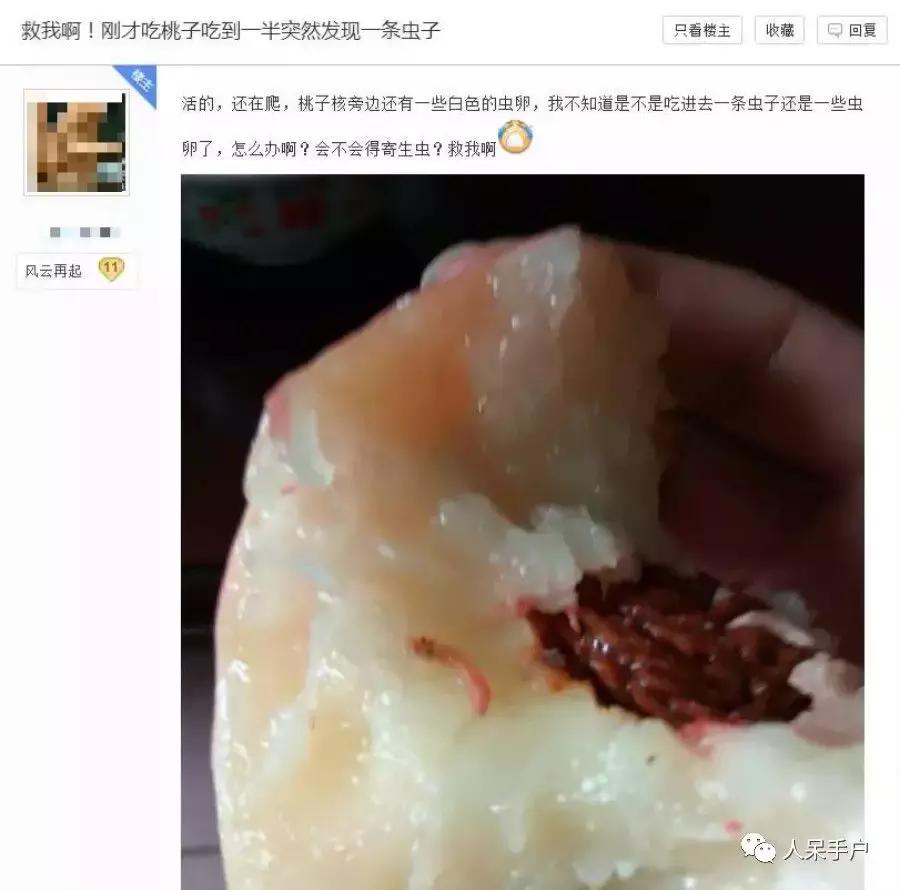 桃子里红色的小虫子是什么,桃子里的白色小虫是什么虫子