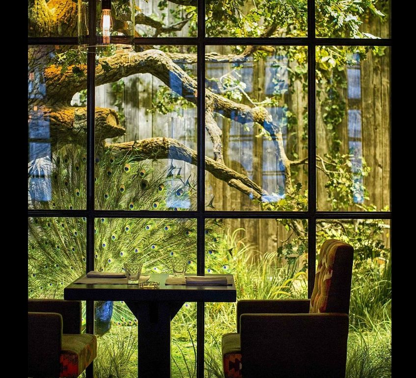 俄罗斯美味,俄罗斯美味特产