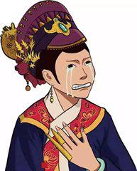 世界杯重大风险分析,世界杯期间的法律问题