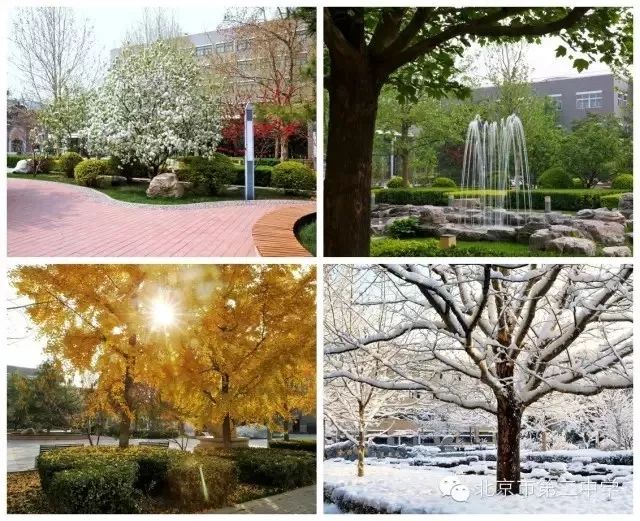 北京二中学校,北京二中的特点