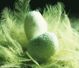 汉代丝绸有哪几种,汉代丝绸绢制品