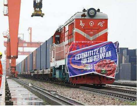 小龙虾世界杯最新视频,世界杯小龙虾对决