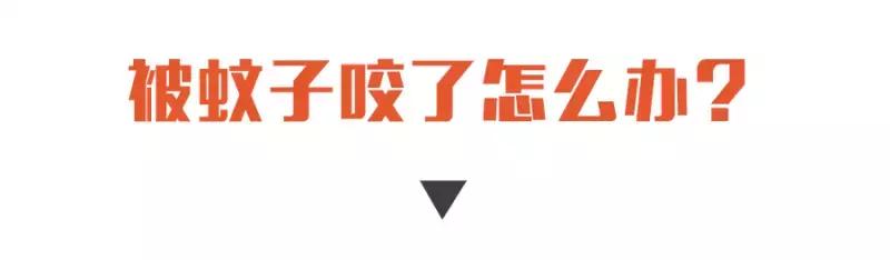 防止蚊子咬最好的方法,终于知道为什么容易被蚊子咬了