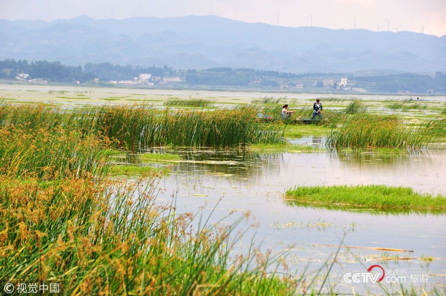 寻觅夏日清凉好去处,夏日到山里寻找清凉