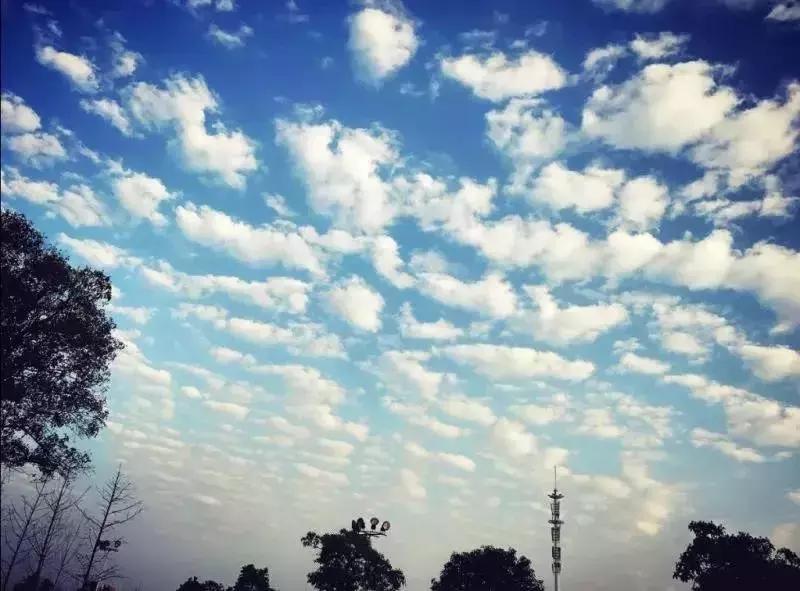 这个夏天我在武穴，你在哪里？