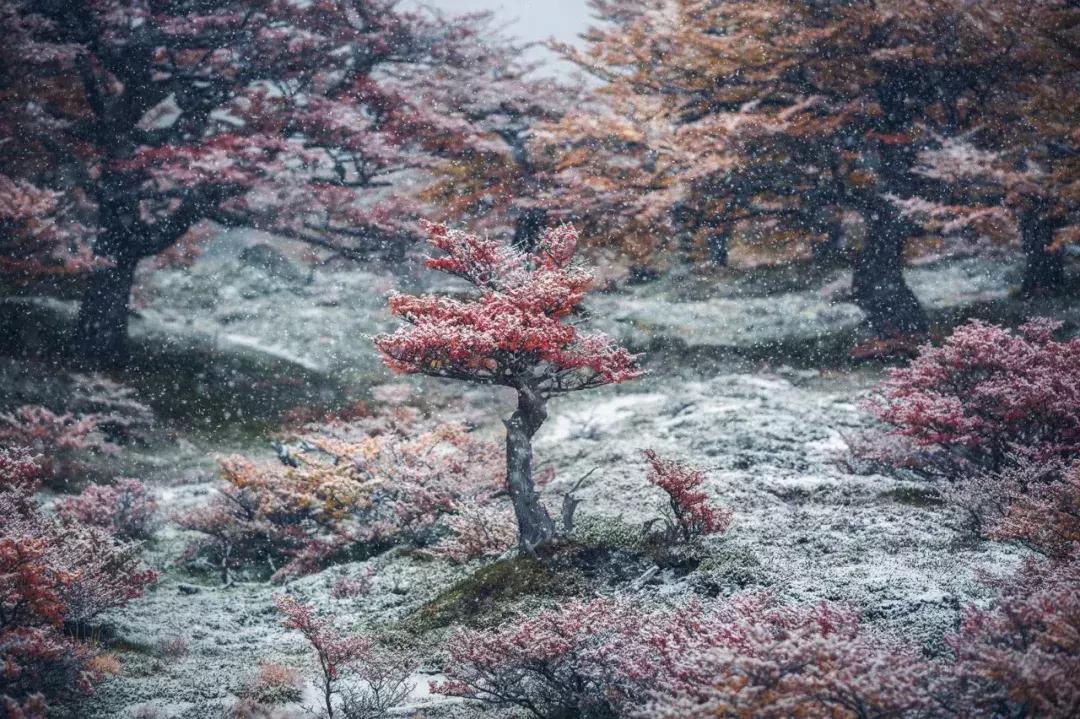 秋季旅行大片,旅行摄影大片有哪些