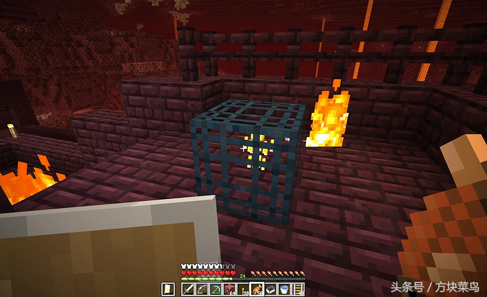 我的世界网易版菜鸟生存日记,我的世界菜鸟生存记