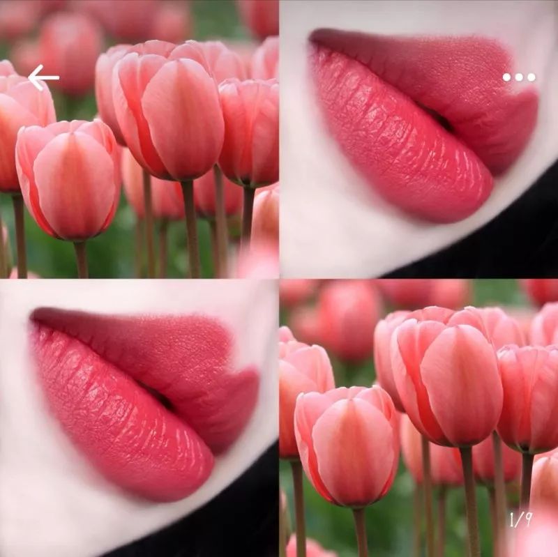 俄罗斯好物推荐视频,俄罗斯好物推荐官方