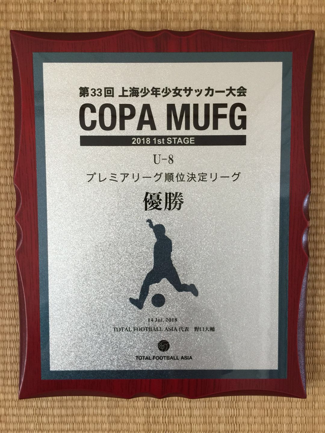 参加足球比赛家长的感悟,参加足球赛家长有什么好意见