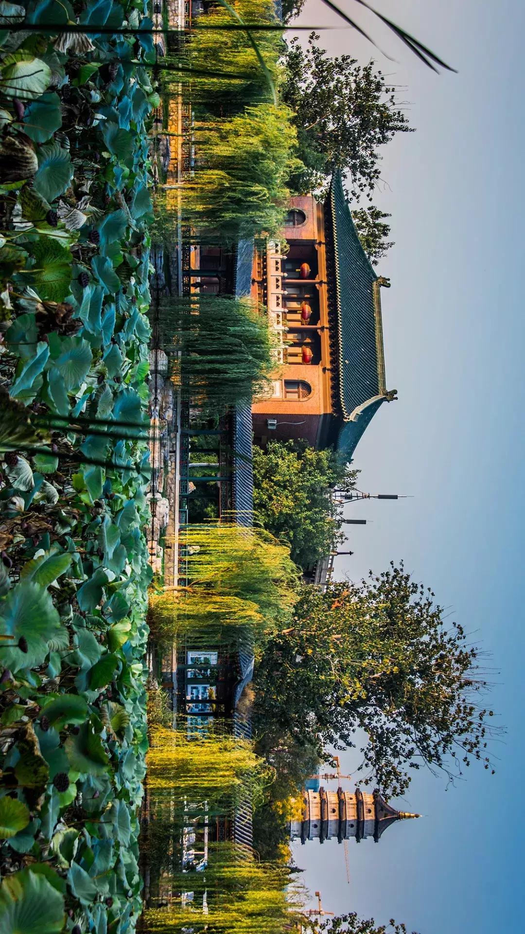 天津人八成有这样的朋友：浑身匪气说话冲肺管子，顾家又无微不至