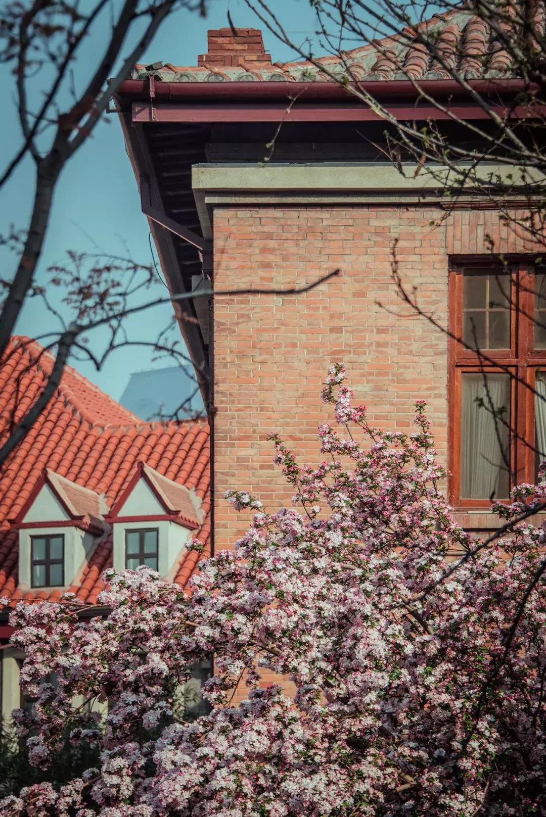 天津人八成有这样的朋友：浑身匪气说话冲肺管子，顾家又无微不至