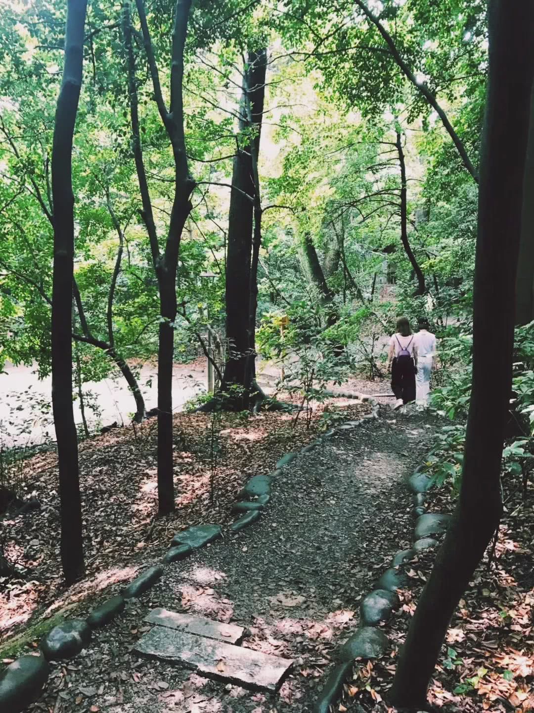 名古屋攻略大全,名古屋有什么玩的