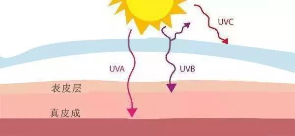 夏日清凉大作战报名,夏日清凉大作战