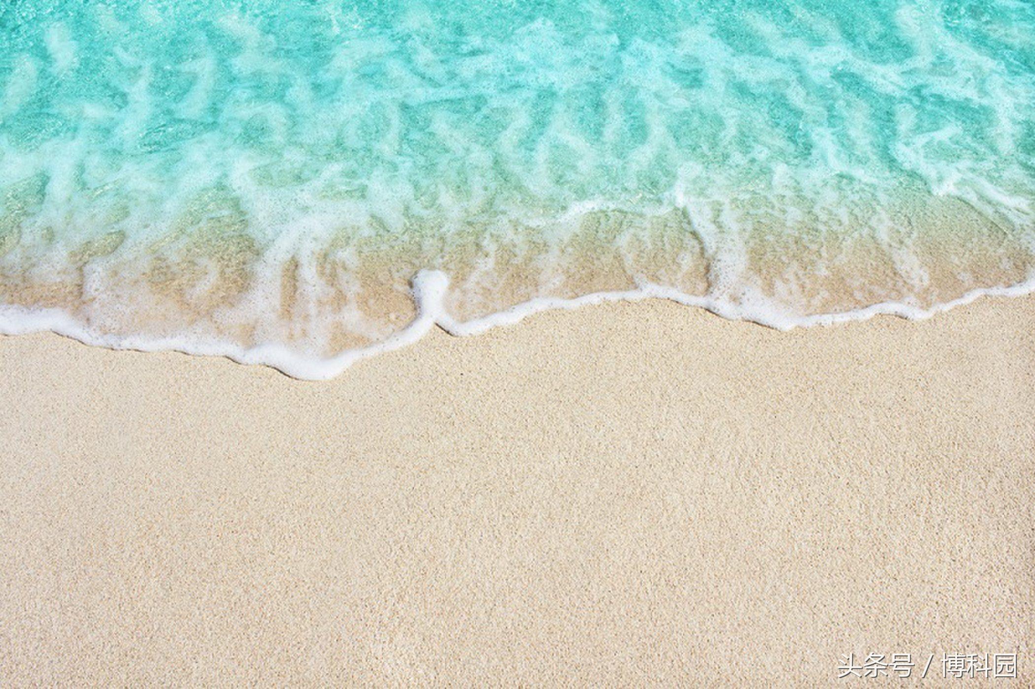 沙滩上危险生物有什么,沙滩玩沙子寄生虫感染