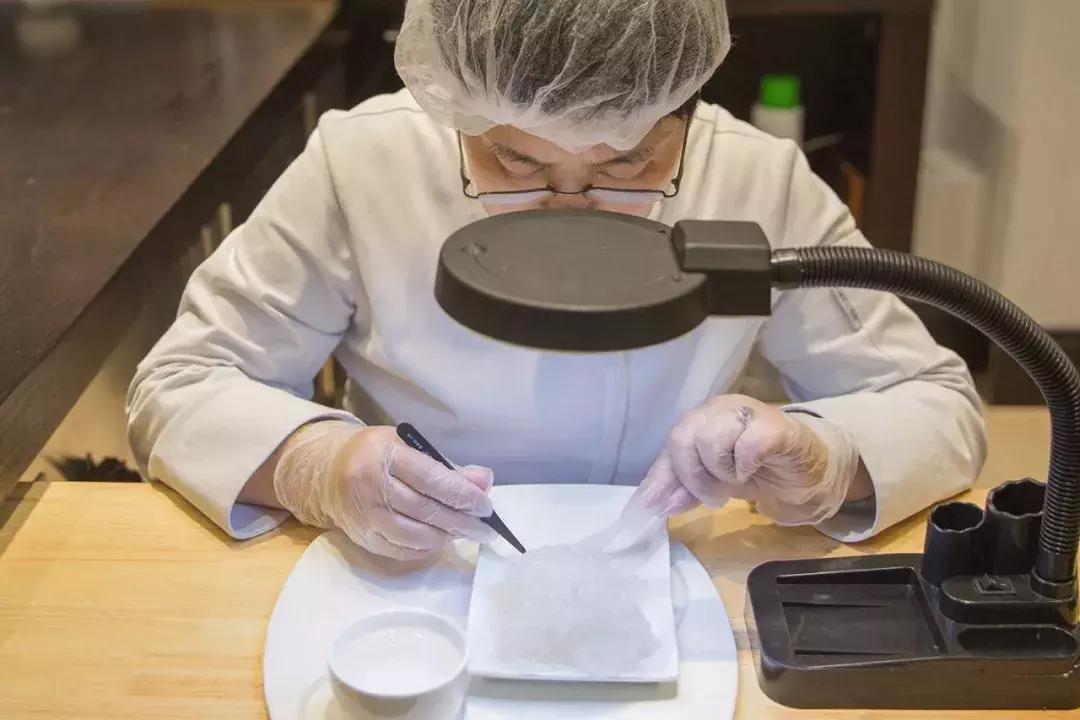 顶级金丝燕的燕窝,天然的官燕燕窝一般在哪里买